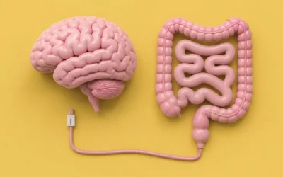 Eje intestino-cerebro: cómo tu intestino influye en tu mente