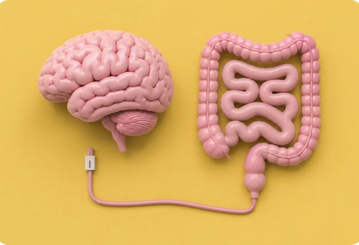 eje-intestino-cerebro eje-intestino-cerebro