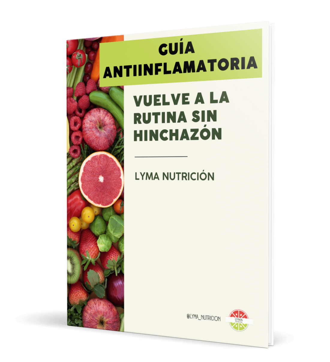 Ebook guia antiinflamatoria