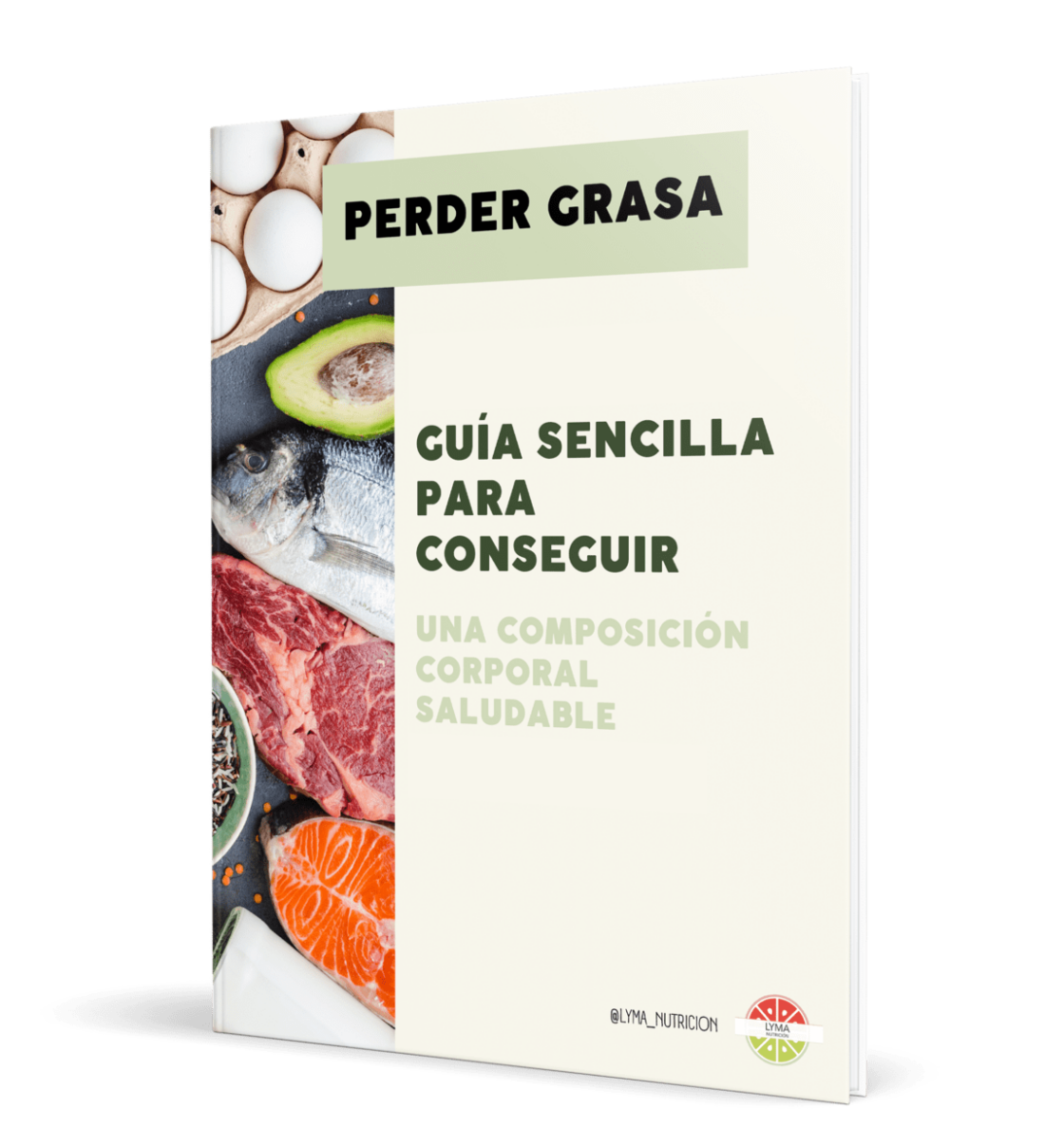 Ebook guia para perder grasa