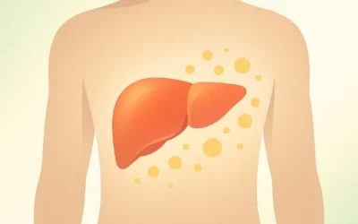 Hígado Graso: causas, síntomas y alimentación recomendada