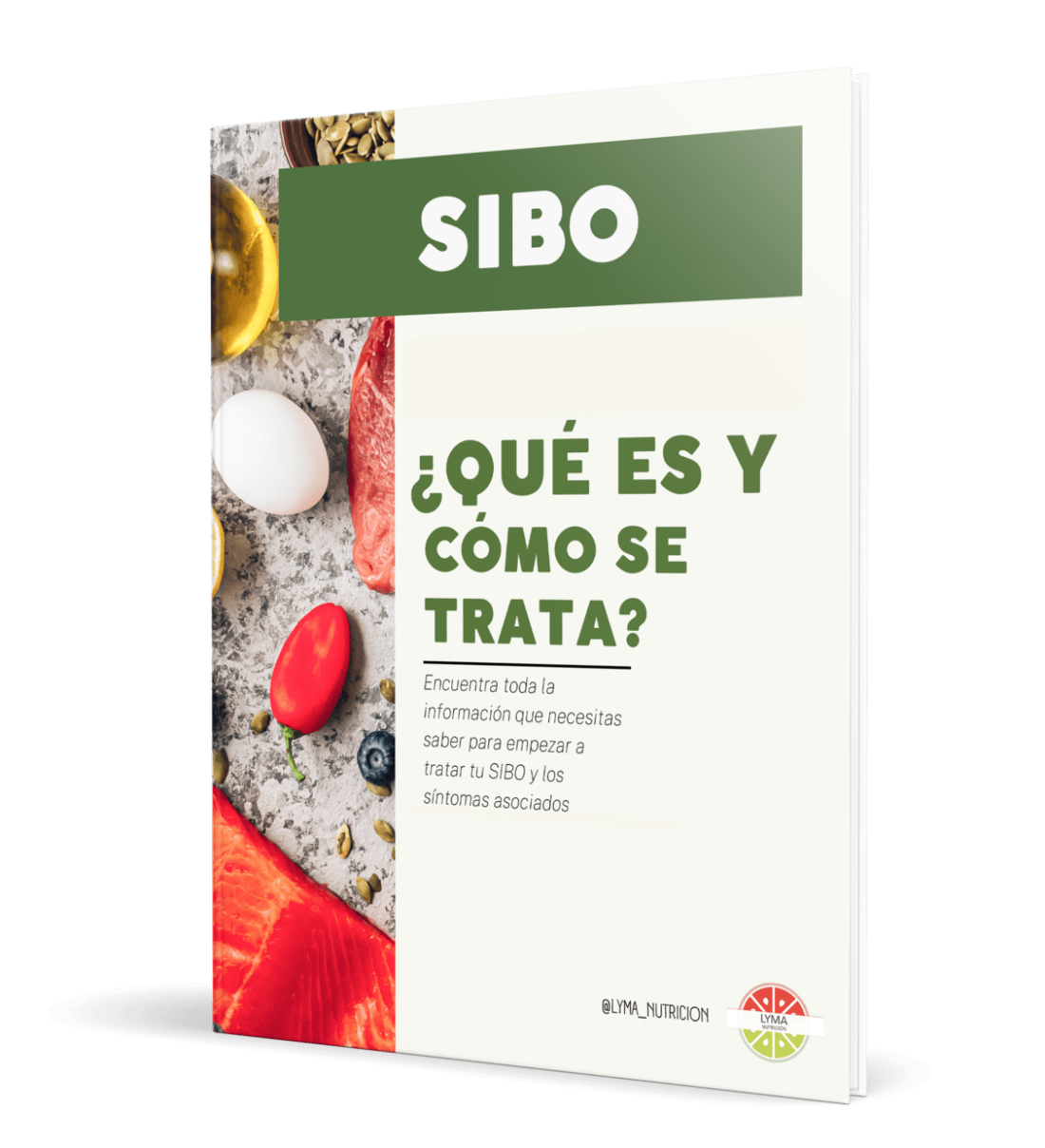 Ebook tratamiento sibo